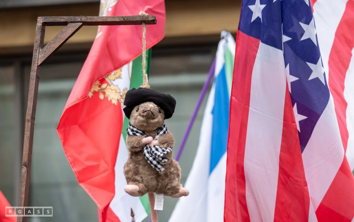 Iranian Protest/Celebration