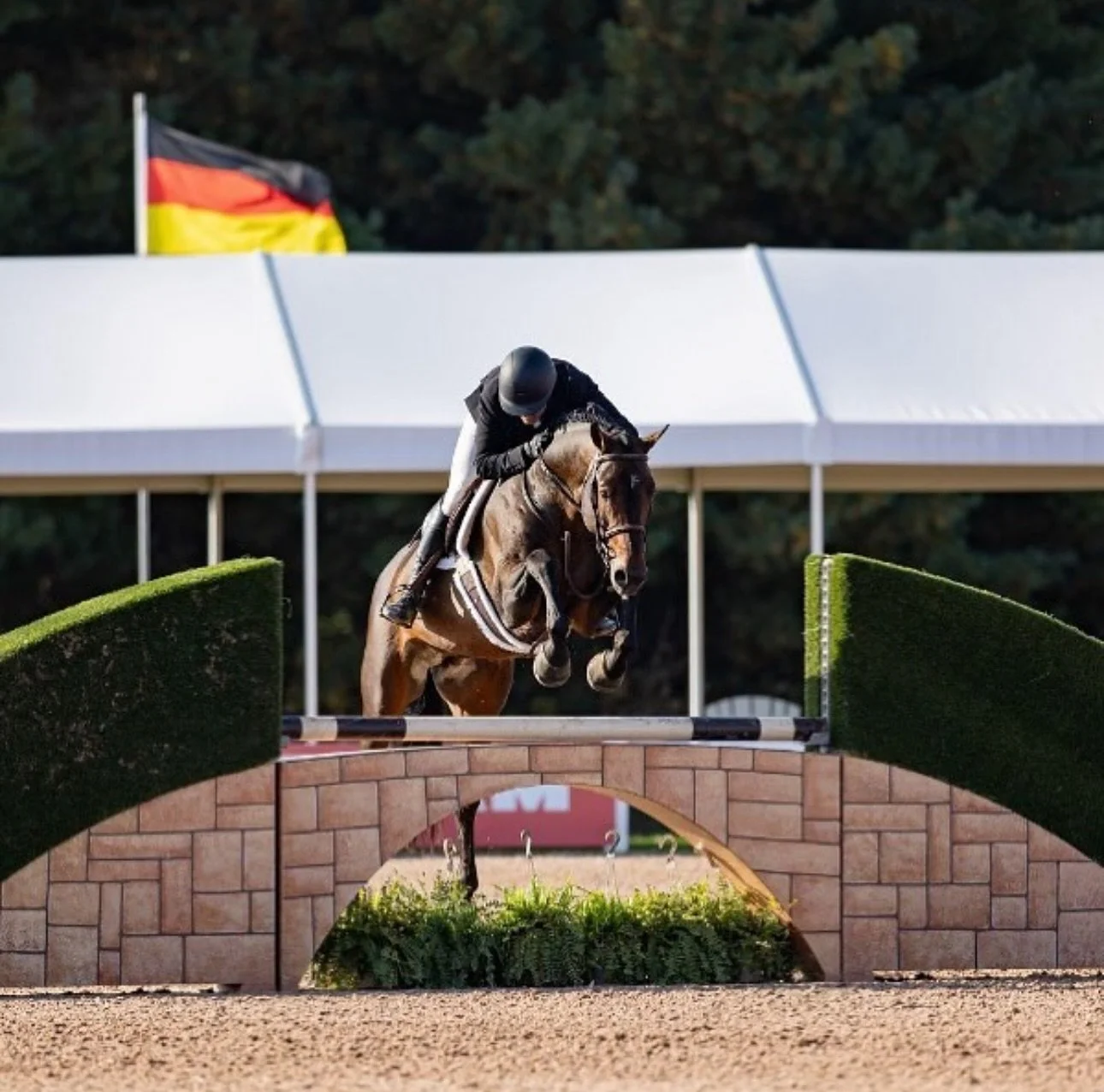 Levi VDL showcasing the foundation of elite hunter-jumper training at JFK Farms 🏇✨

From careful flatwork to confident, balanced jumps, our training program focuses on developing horses with precision, patience, and a winning mindset. Whether you&rs