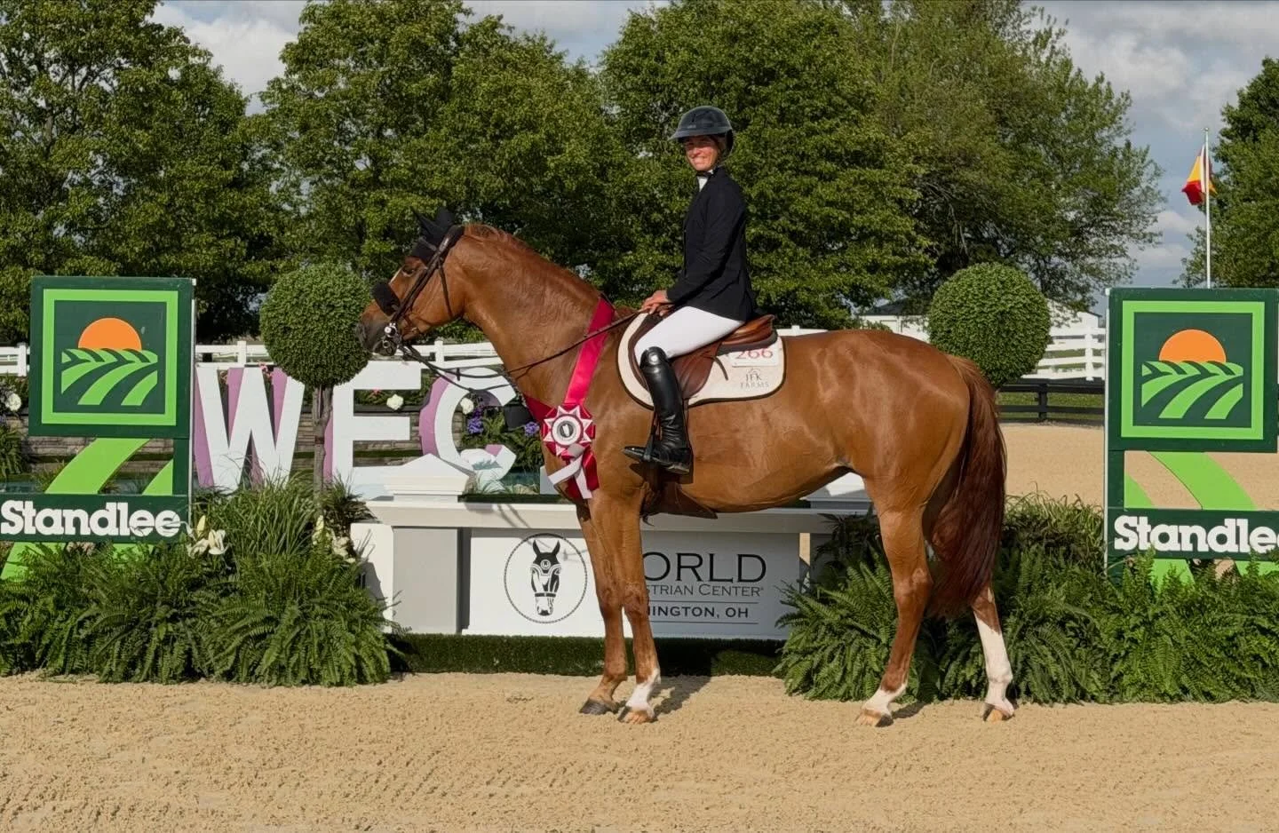 ✨Saturday Night at the CSI2* at Wilmington Ohio in the Standlee $65,000 Grand Prix with a 2nd 🥈 place finish✨

🐴Beautiful KALLIOPE, brilliantly ridden by @charlottebettendorf 

Special thank you to Mark Hayes and everyone at JFK Farms for the hard 