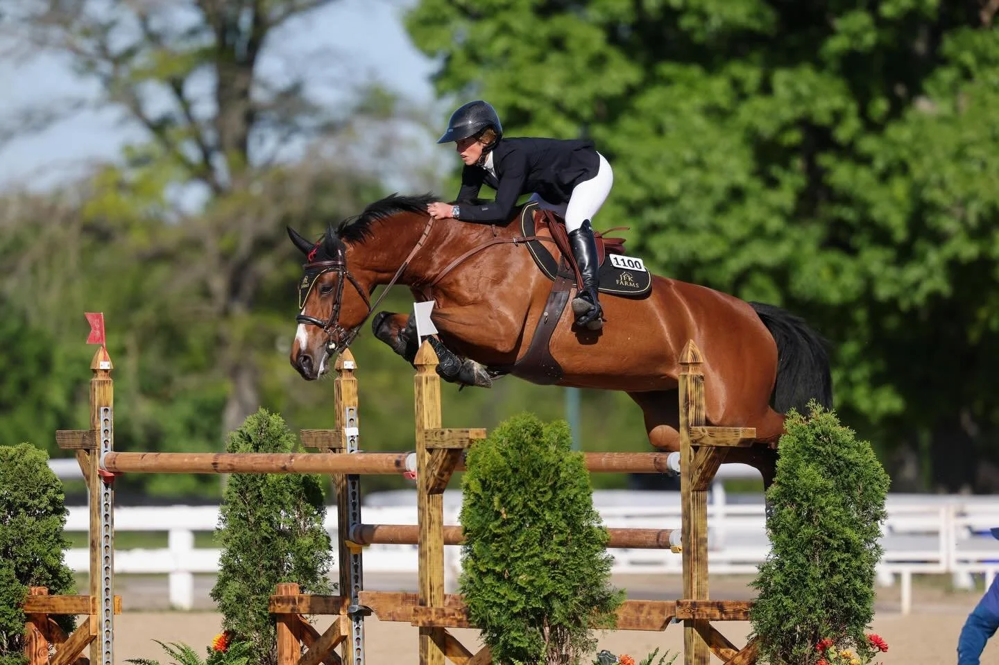 ✨Next Stop Traverse City Spring Shows 3*and 4* for an awesome 2 weeks 🤩
Horses are feeling great and ready to have fun🐴🤩