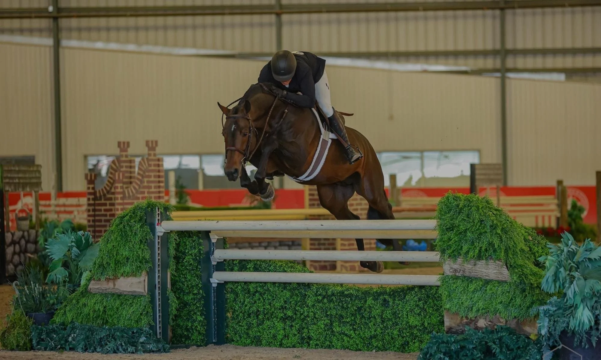 Horse Training Programs - jfk farms