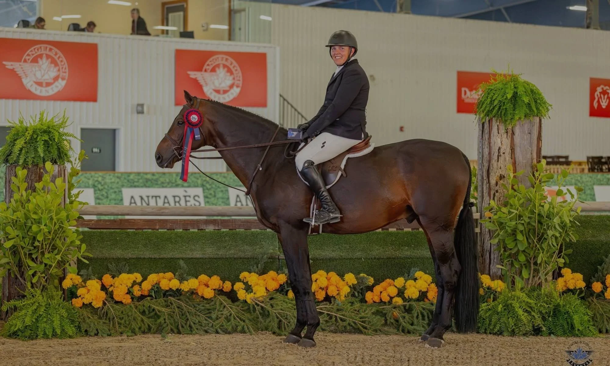 Full-Service Boarding - jfk farms