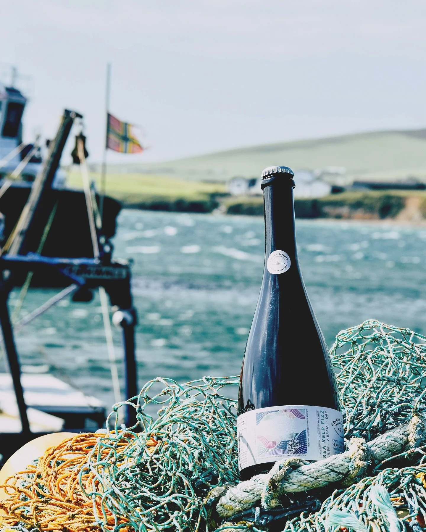 Brewed &amp; bottled in Orkney. 
Sea Kelp Fizz is a wonderfully dry, sparkling kombucha. 

🪸We personally forage sugar kelp off the coast of Birsay and submerge our ocean bounty within our kombucha for a one-of-a-kind unique umami experience. Dare w