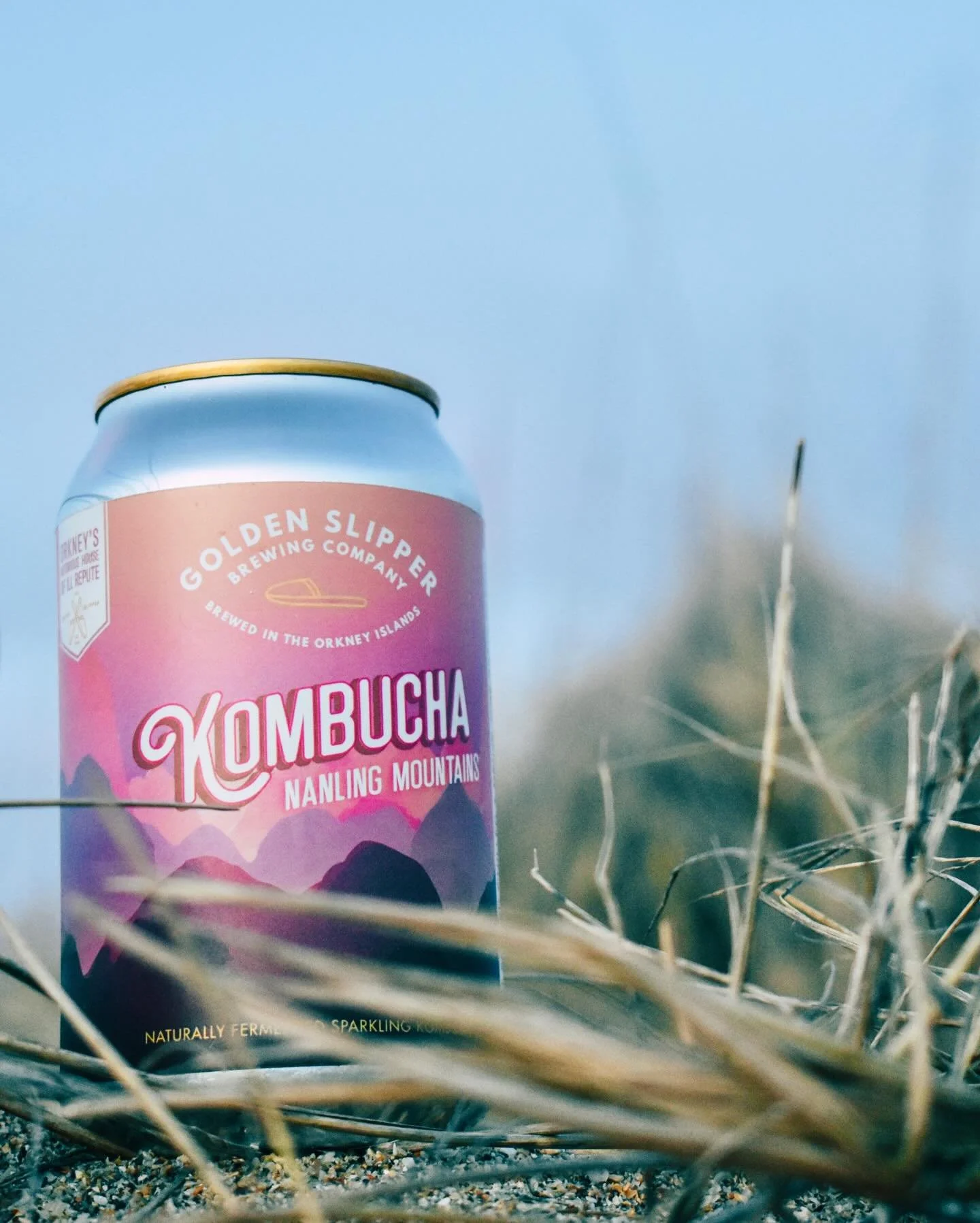 There is something to be said about the colours in Orkney during winter. 🌬️❄️ #staydryoutthere