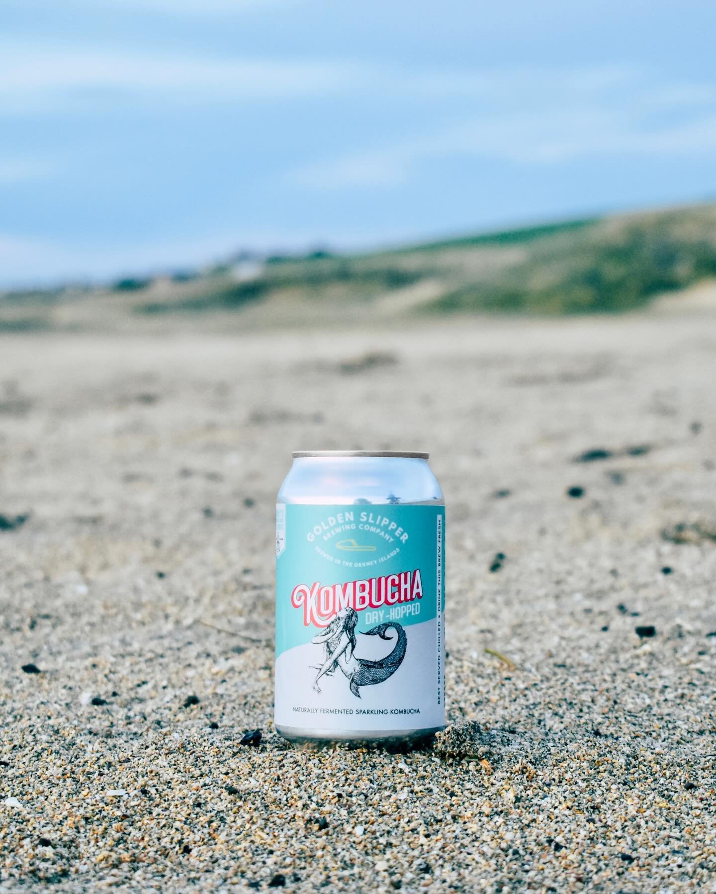 Dry hoppin&rsquo; on wet land 💦🧜&zwj;♀️ 

#StayDryOutThere