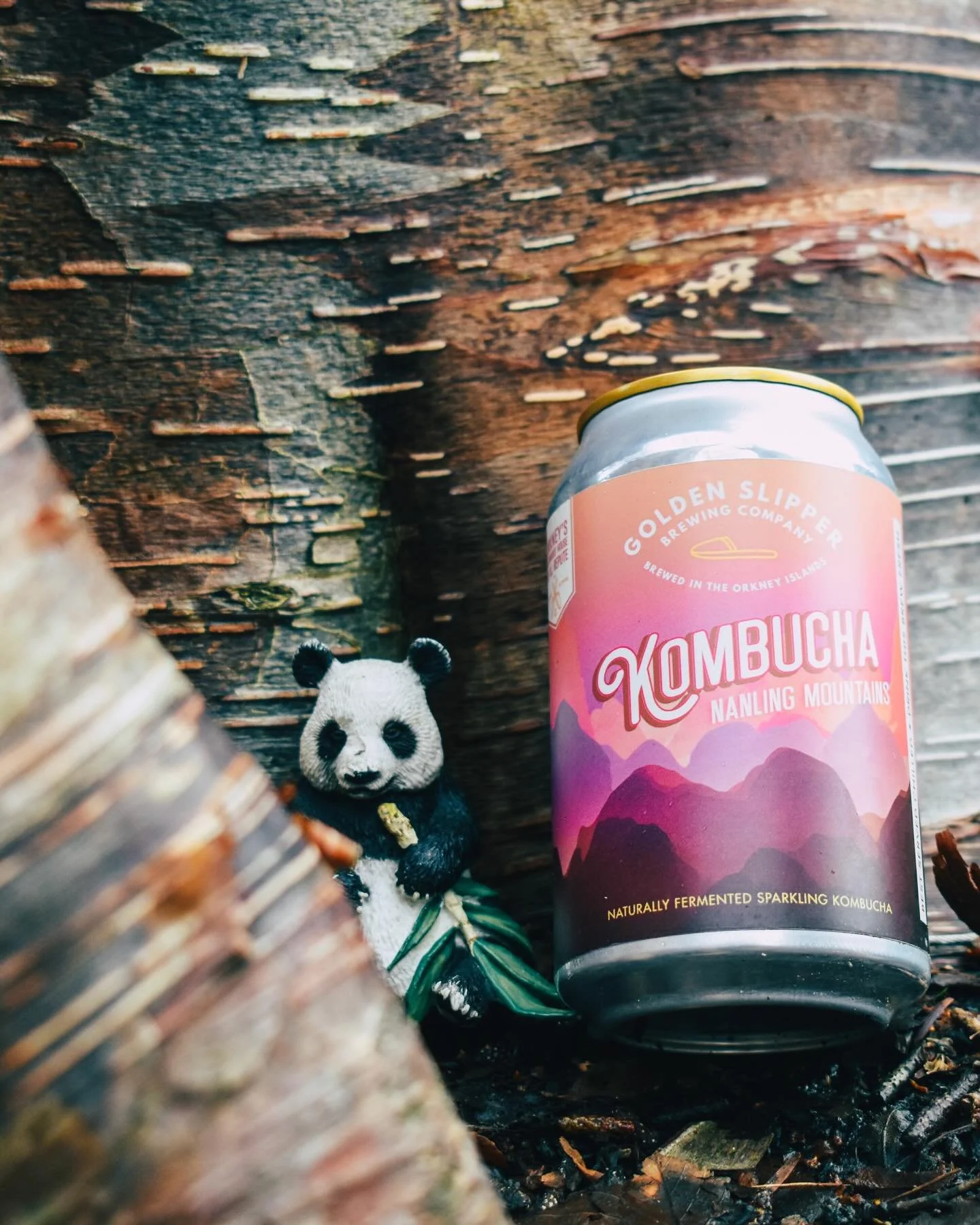 Hand-plucked with care from the Fujian Province in the Nanling Mountains of China 🏔️🍃

Nanling Mountains Milk Oolong Tea possess notes of floral orchids and juicy peaches 🍑🌸

A bright and creamy sparkling Kombucha brought to you from the lush Mou