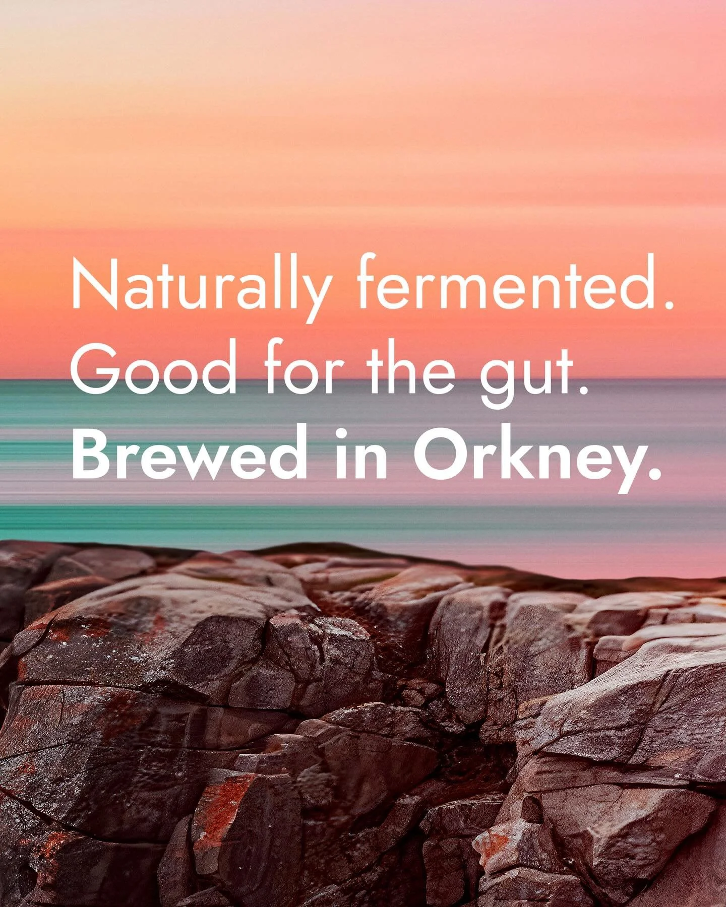 Naturally fermented sparkling Kombucha ✨ 

A non-alcoholic alternative with depth and full flavour, ode solely to our fermentation method. Raw and unpasteurised goodness. 

Kombucha is a fermented tea drink with probiotics, antioxidants and vitamins 