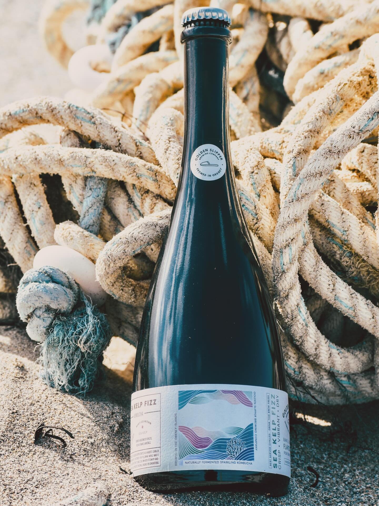 🪸 A one of a kind Kombucha, harnessing the bounty of our shores in our Sea Kelp Fizz. 

We forage our Sugar Kelp by hand, leaving the coastline as undisturbed as possible, and infusing it into our Kombucha for a complex and dry non-alcoholic sparkli