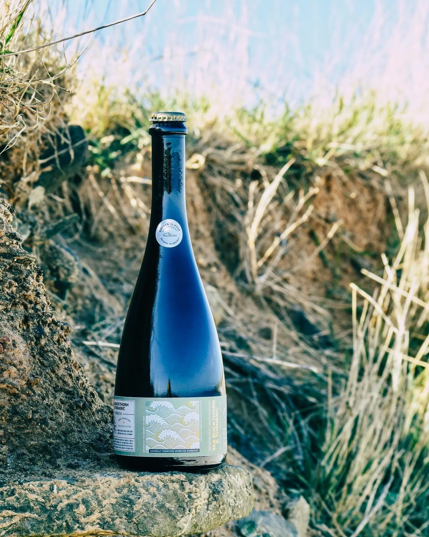 Sea Buckthorn &amp; Turmeric
Citrusy, Earthy &amp; Spicy 🌊🫚🍊

Sea Buckthorn is a wonderful thorny shrub that grows along coastlines and sand dunes 🏄 , producing incredibly tart berries loaded with Vitamin C. 

Match that citrus bite with the spic