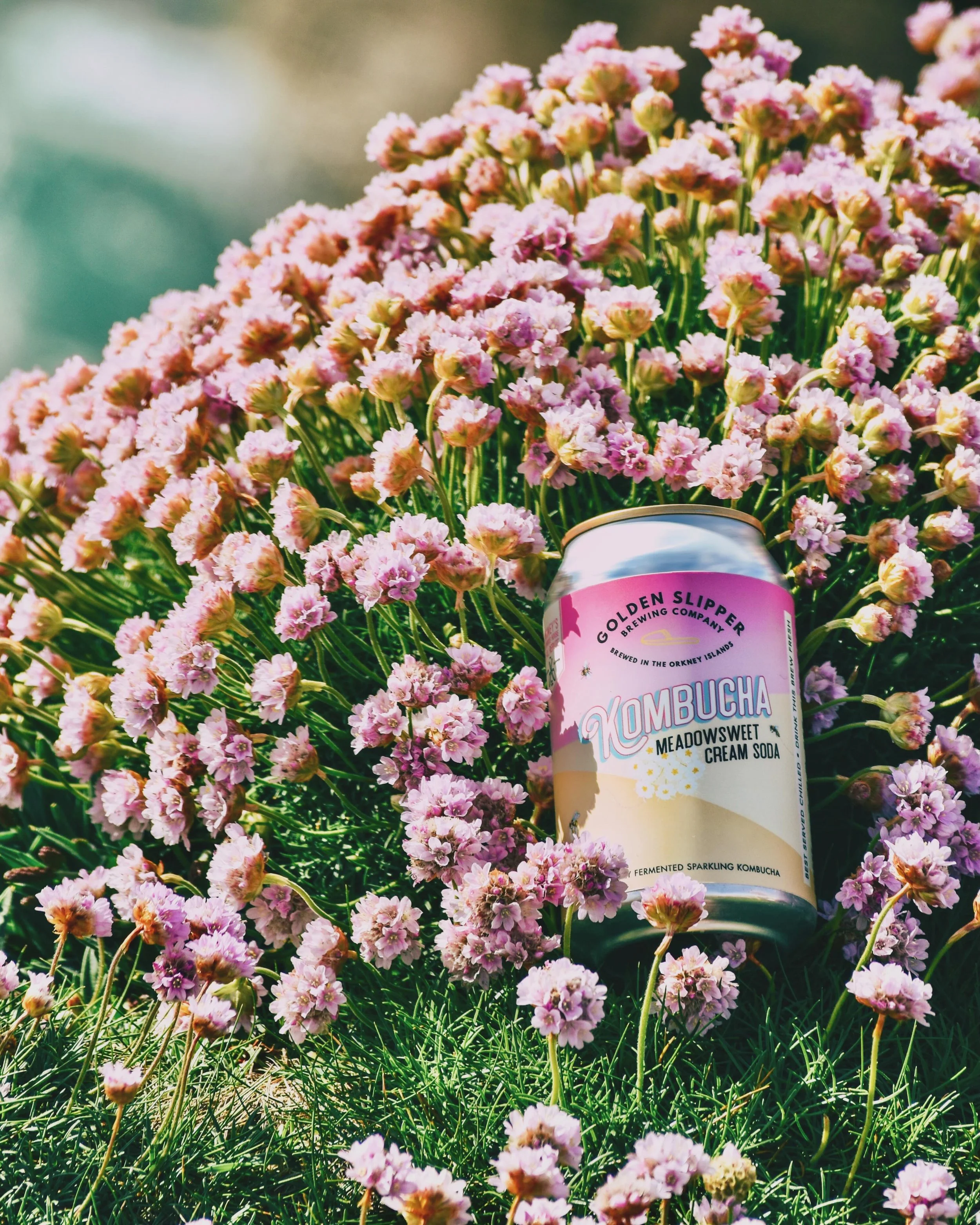 Spring is one of the most spectacular times to experience the Orkney islands. While exploring the vibrant green countryside and its wealth of wildflowers, enjoy our Meadowsweet Cream Soda as a naturally refreshing companion. 

Brewed Wild in Orkney.
