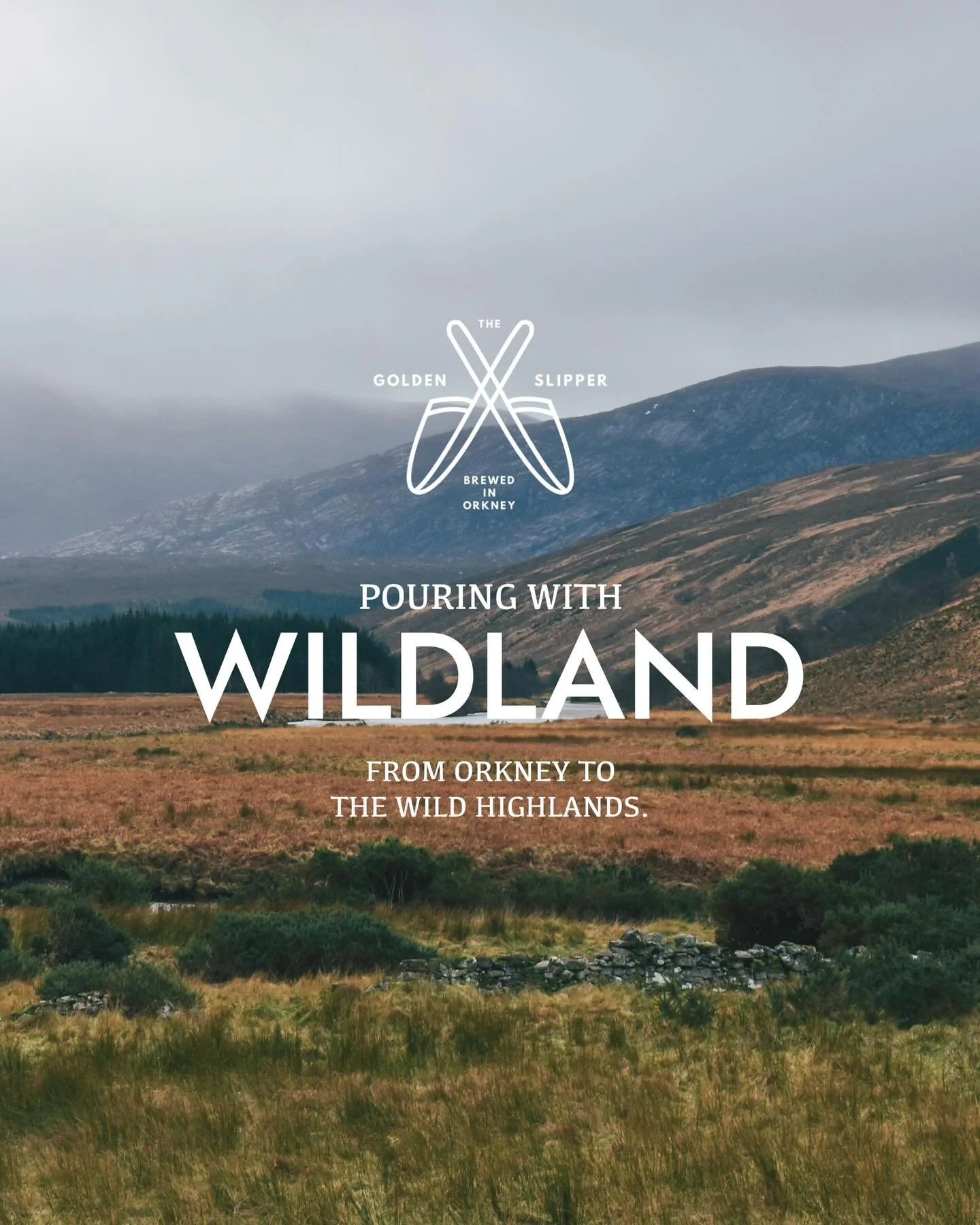 We are proud to be pouring with @wildland.scot 

Our kombuchas find their place in landscapes that share the same rhythm. Patient, evolving and connected to the land. 

As a small-batch brewery based in Orkney, we work with wild and foraged ingredien