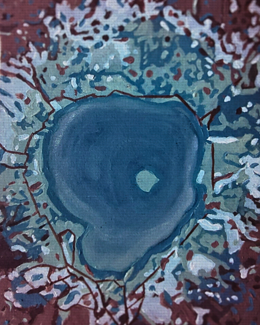 Rotorua and the Living Landscape