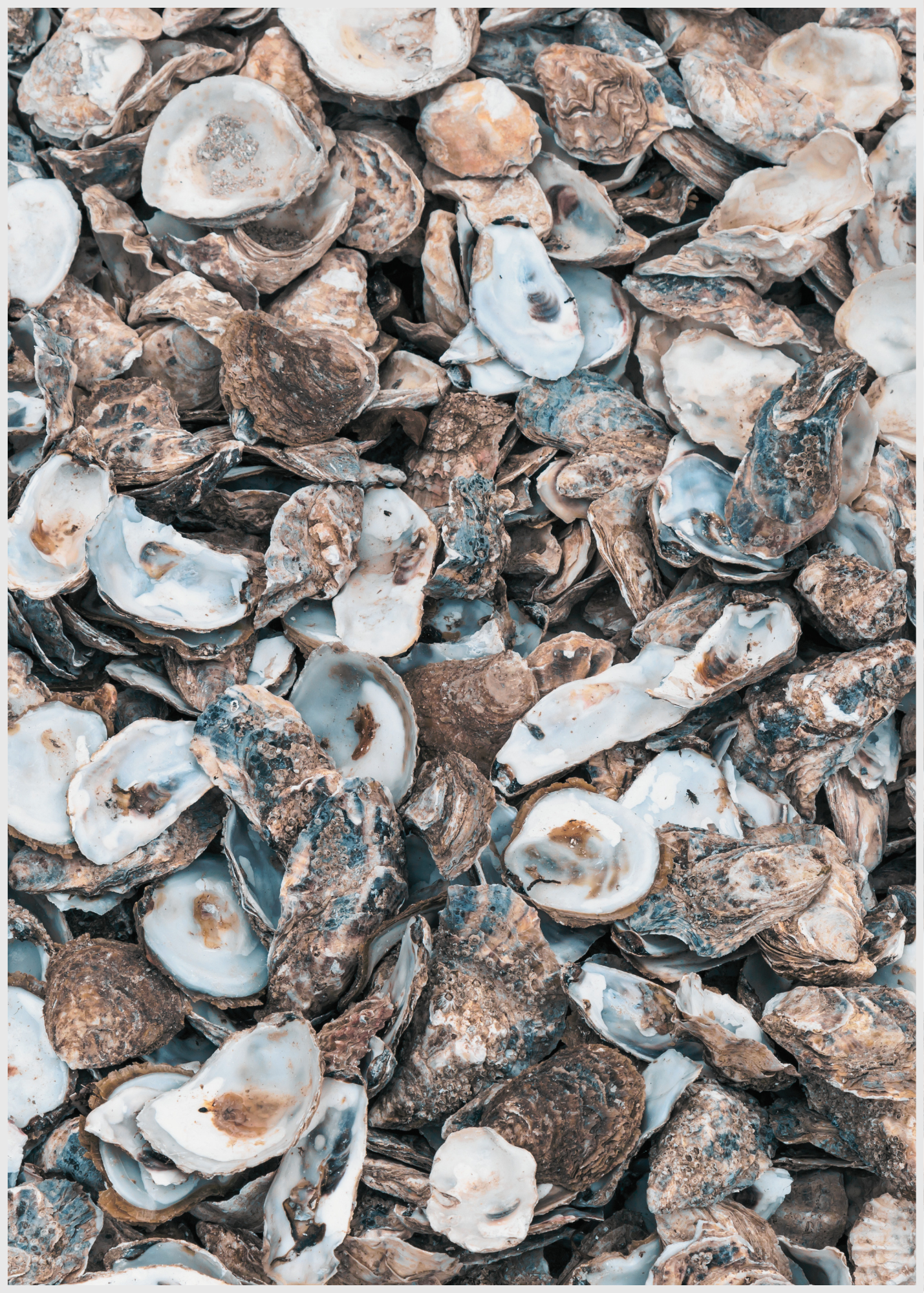 Untitled design (16).png
