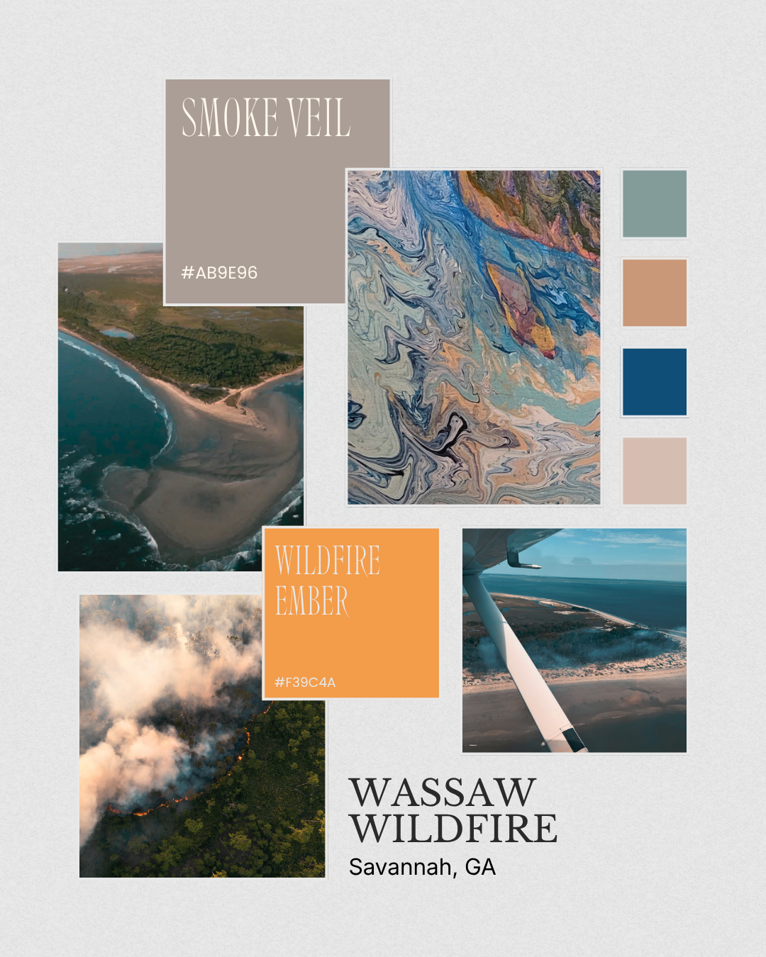 Wassaw Wildfire Study