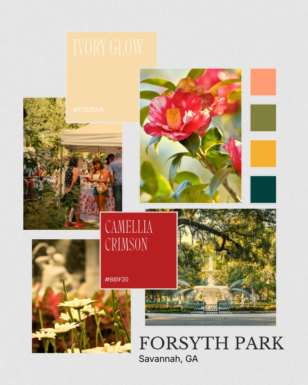 Forsyth Park Study