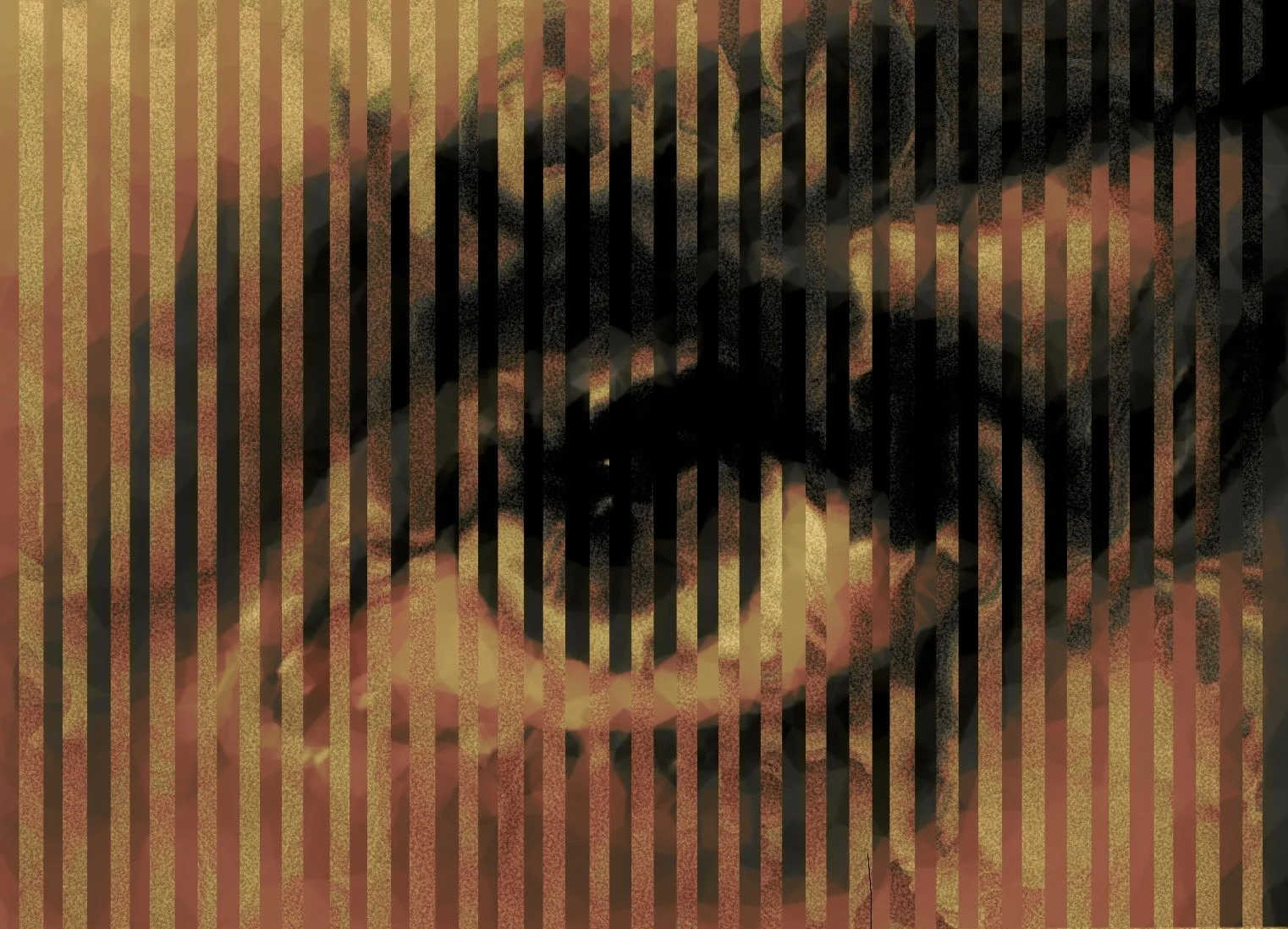 Adobe Photoshop/Illustrator Project