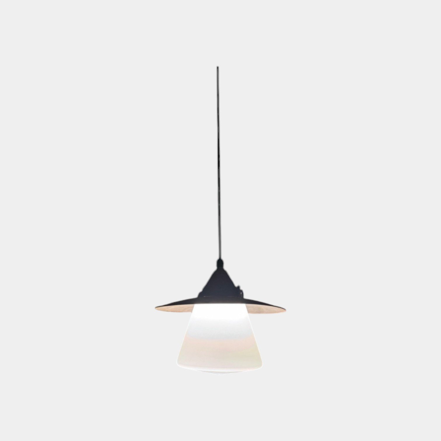 Industrial Ceiling Light