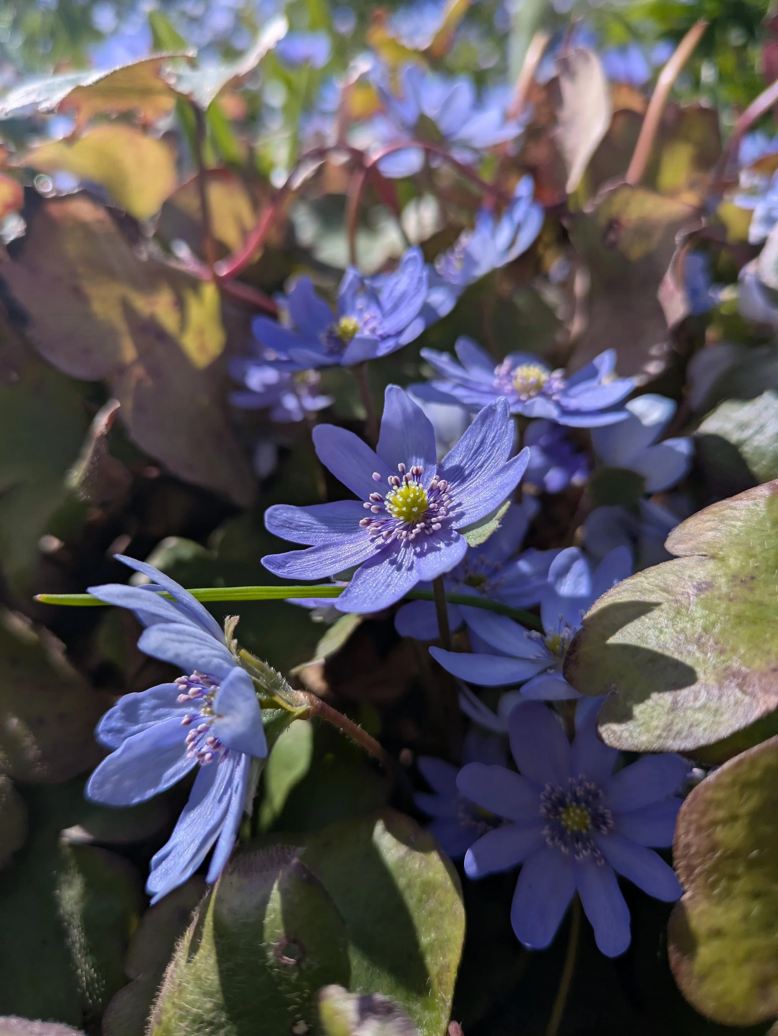 Her Story/Our Story: Rewriting the script of motherless motherhood