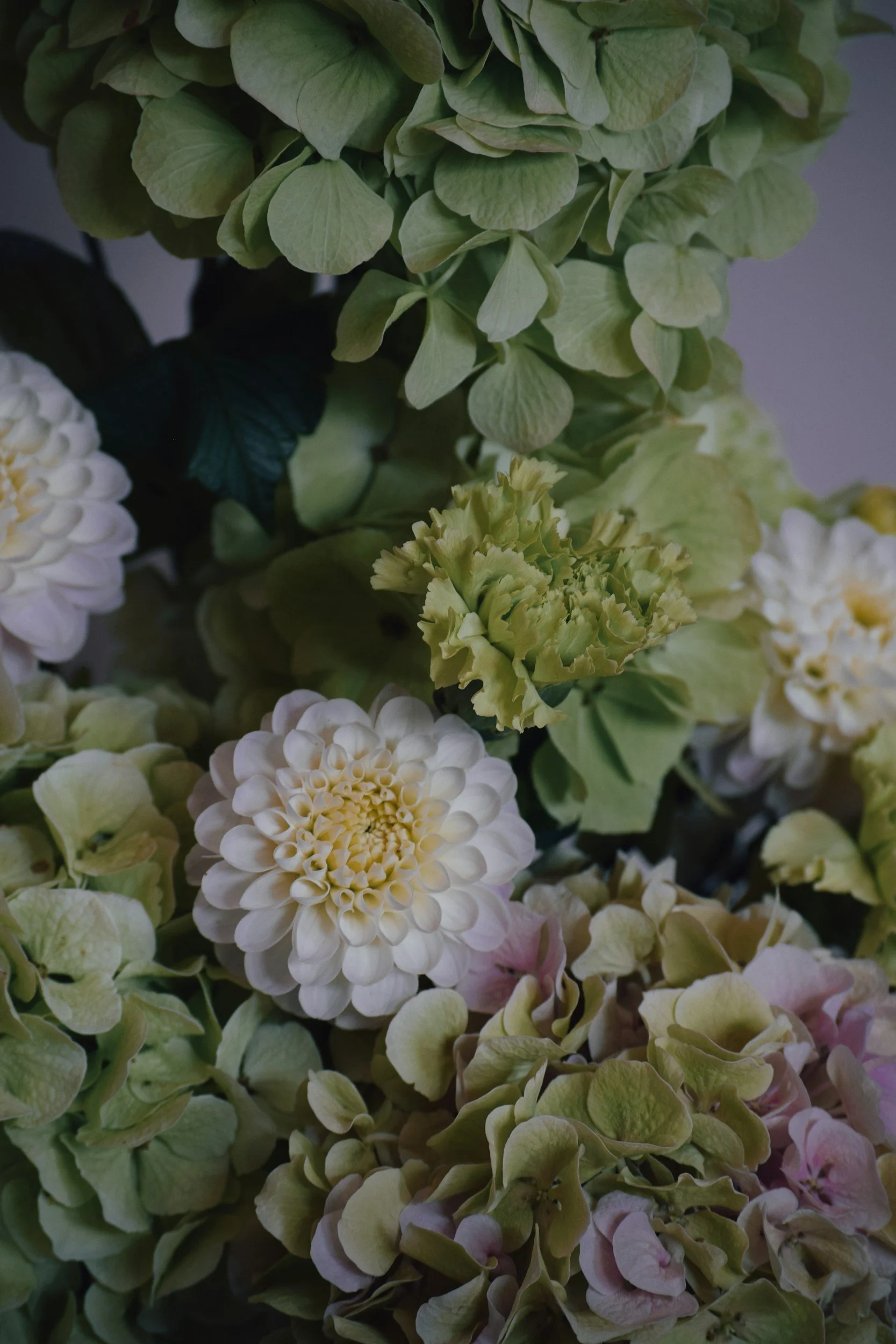 Close-up of a bouquet of light green hydrangea and white dahlias flowers.