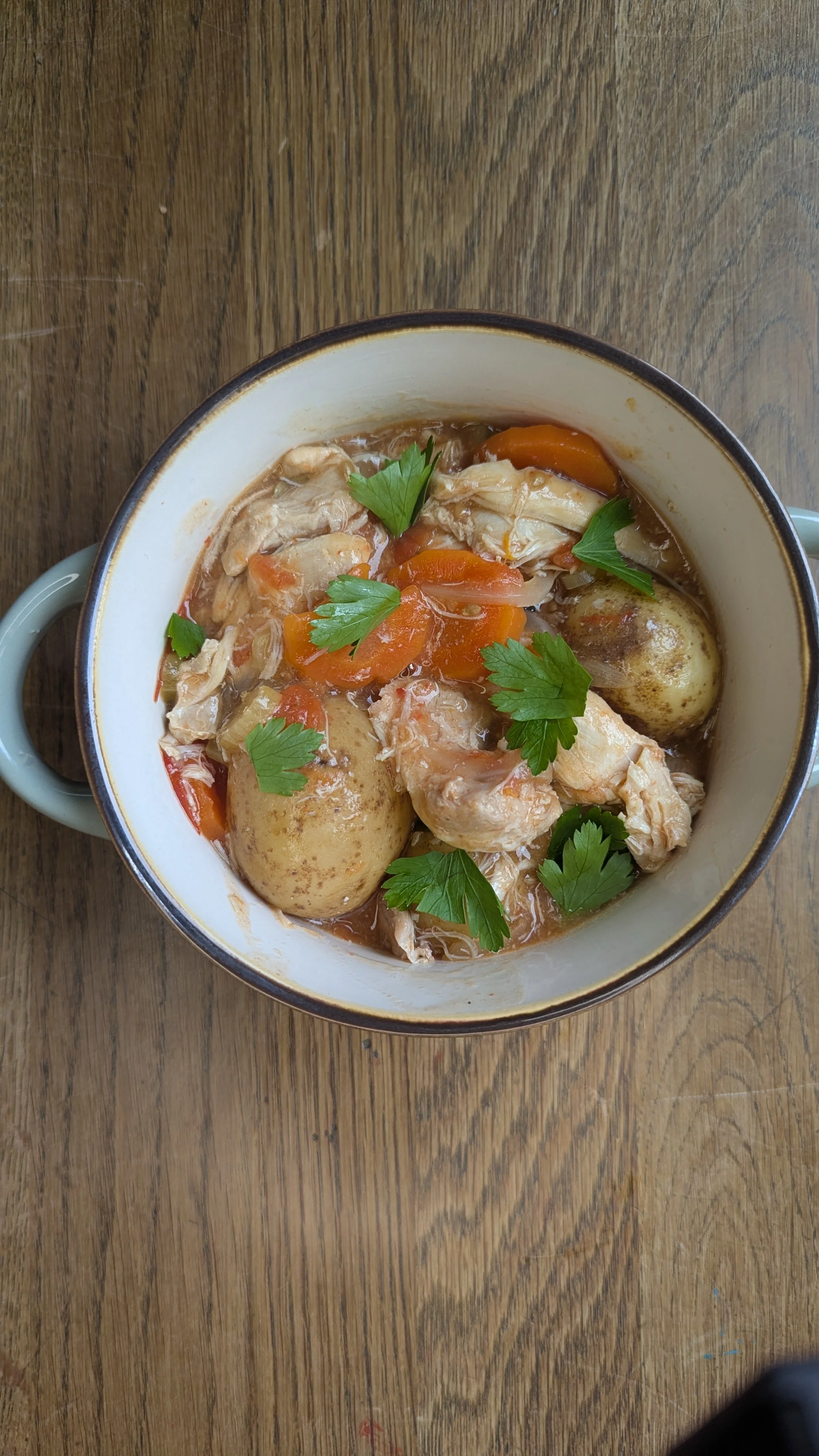 Slow Cooked Carrot & Fennel Chicken Stew