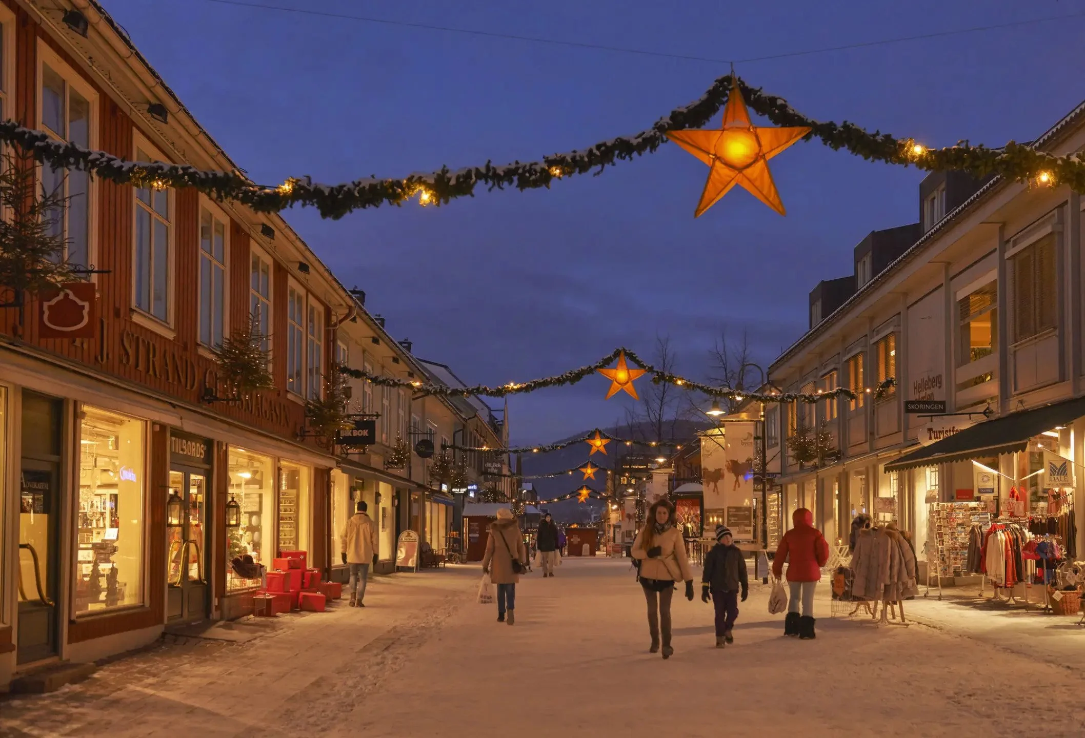 Why do some areas teem with life and others end up as grey, dead zones?