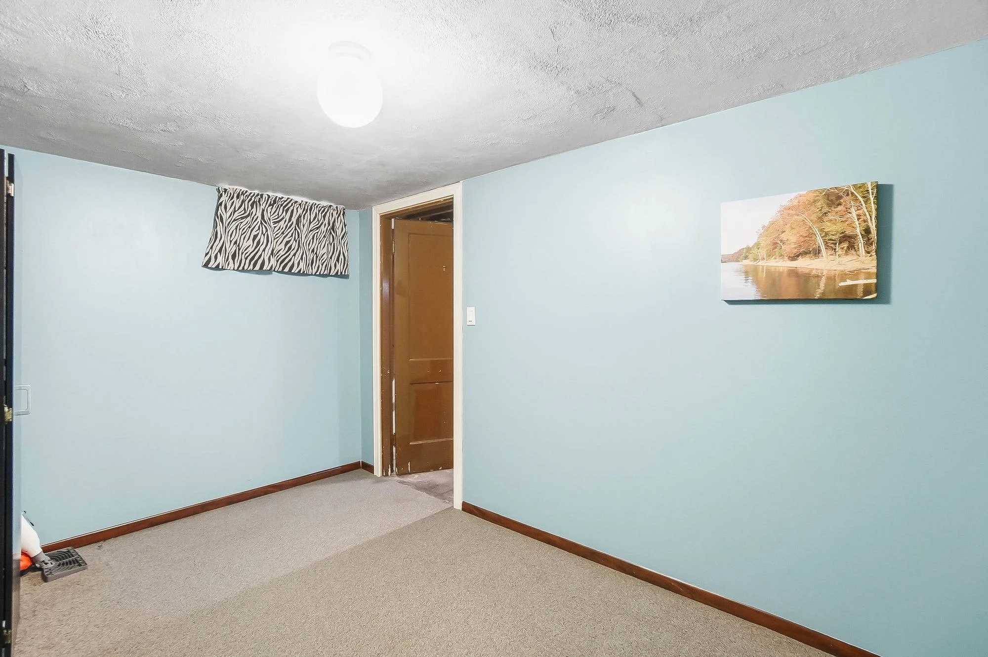 Empty room with light blue walls, brown door, zebra pattern window curtain, beige carpet, and a landscape photo of trees and water hanging on the wall.