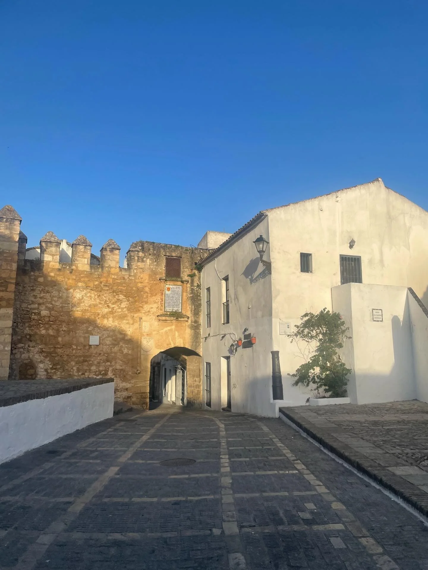 Find beauty everywhere you go. Eat healthy, move your body, listen to music, read and write poetry. Live like everyday is your first, be amazed, wonder, wander. Go out into nature and remember we are here only for a short while. Do all the things you