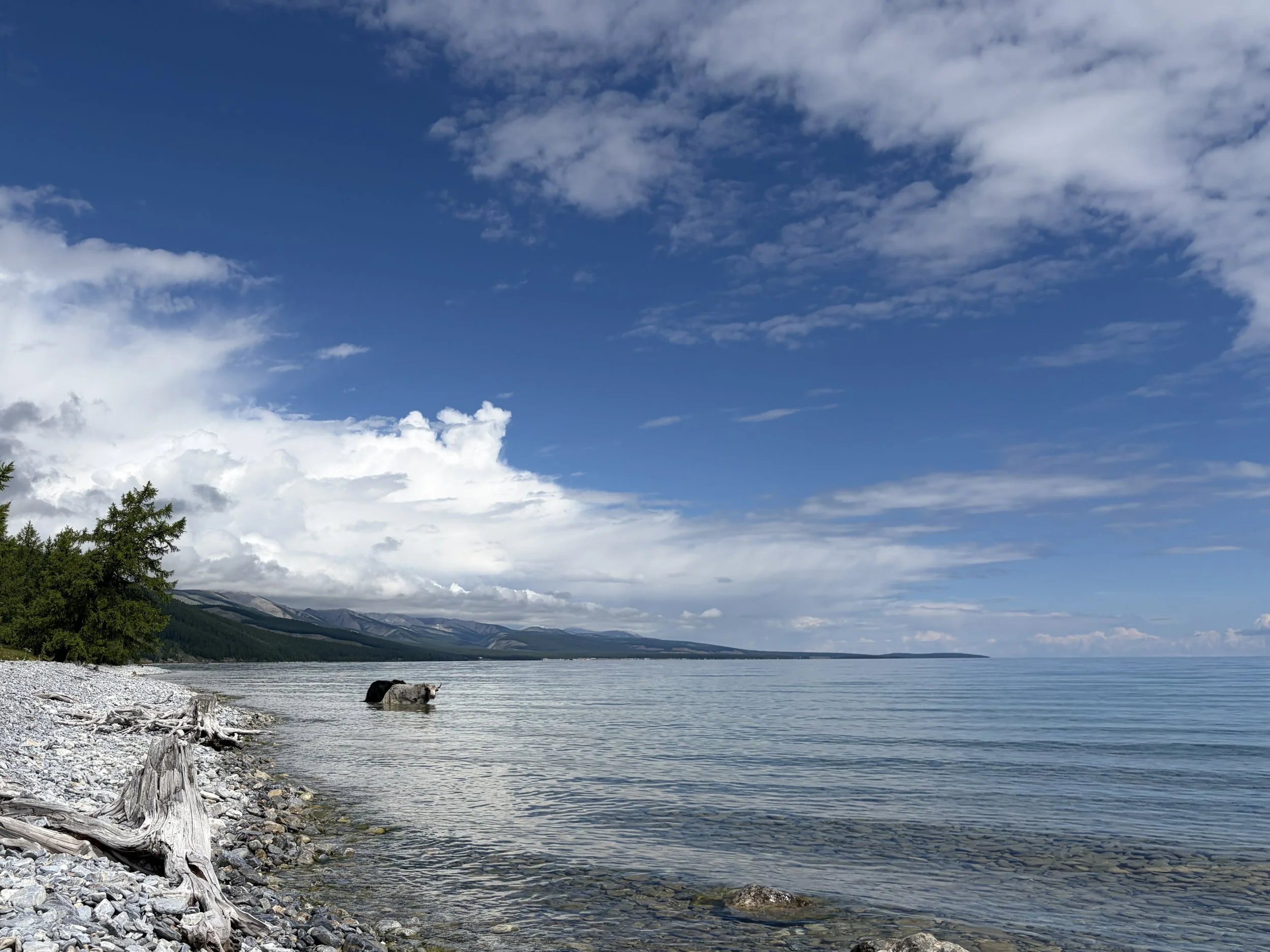 Huvsgul Lake, 2026.jpg