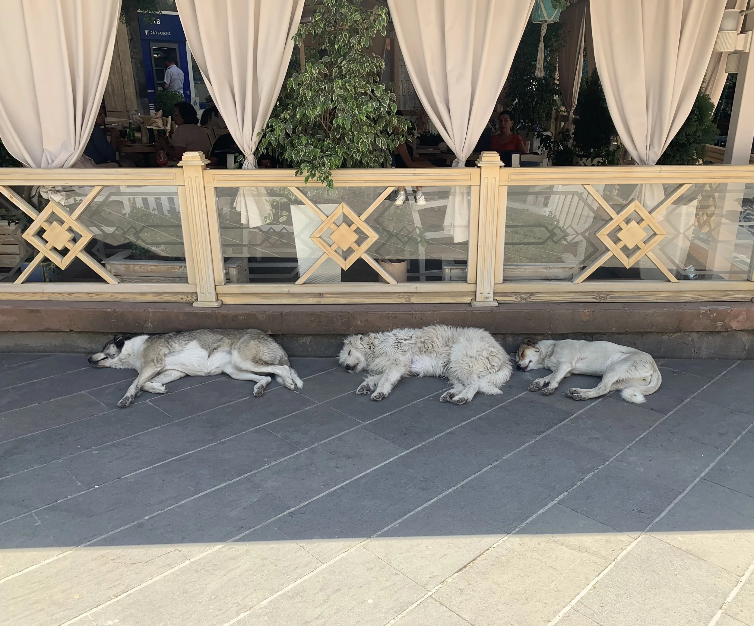 Photo_AA_Rest_For_The_Weary.jpg