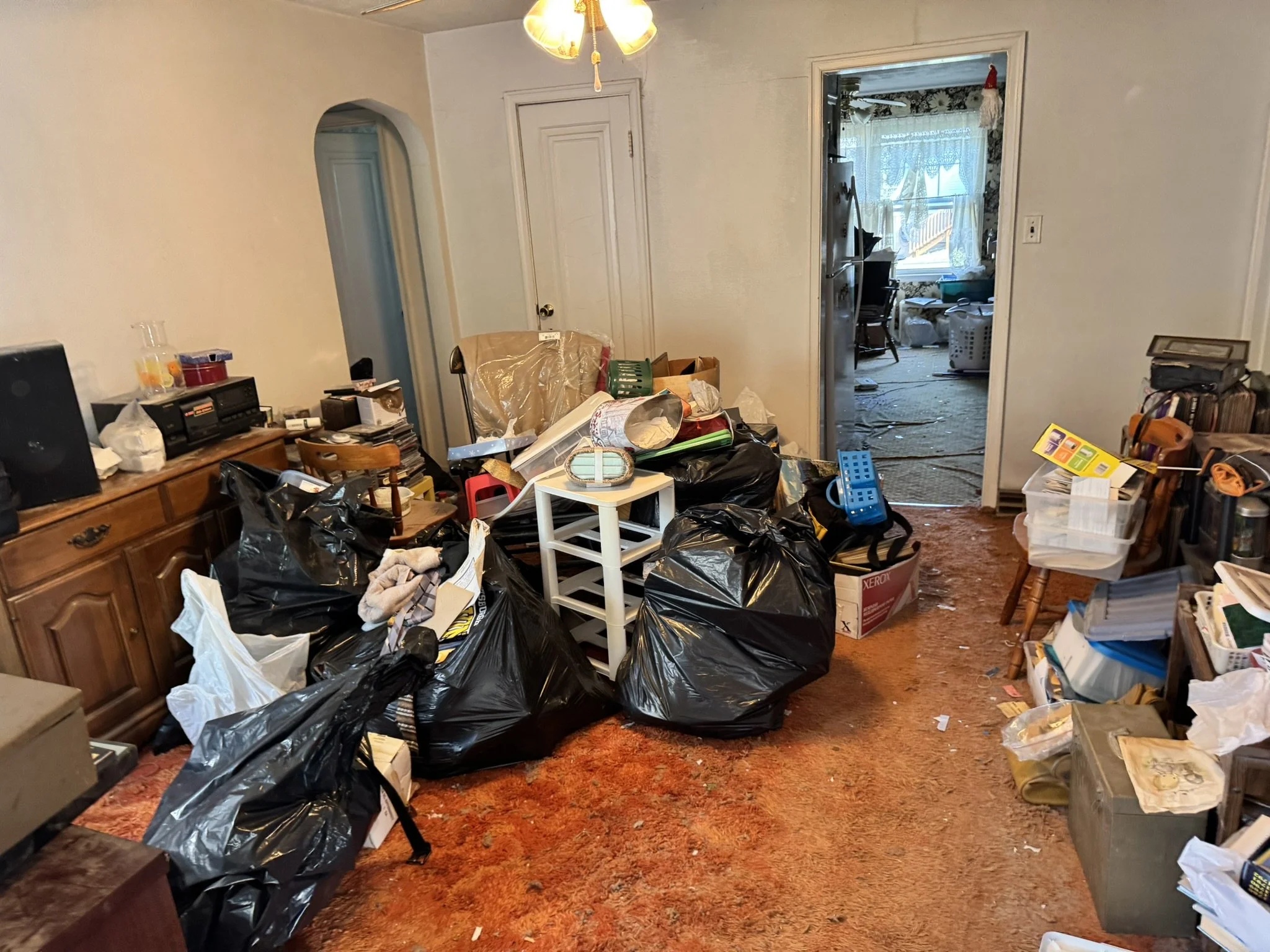 Before Room Cleanout