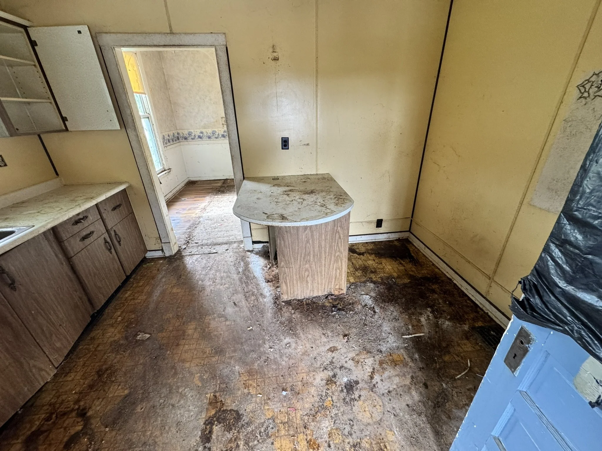 Before Kitchen Cleanout