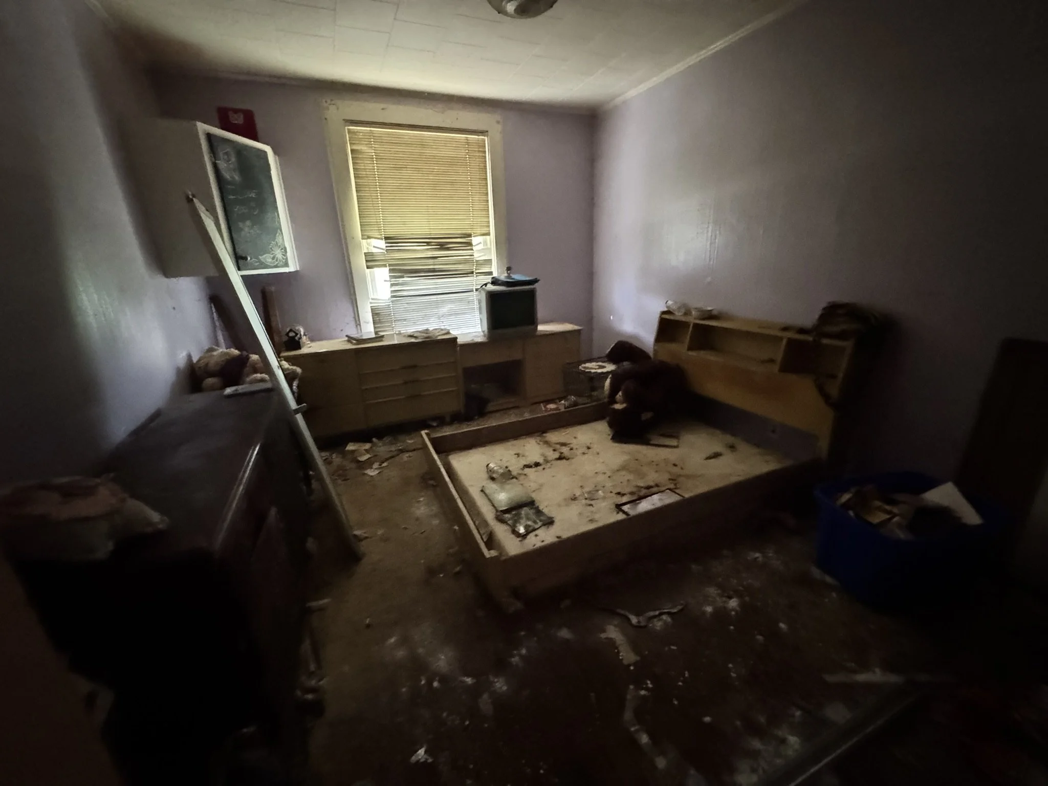 Before Bedroom Cleanout