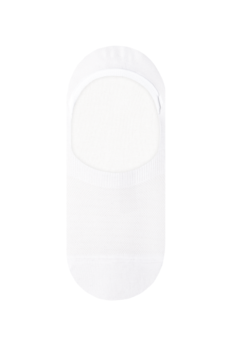 white.webp