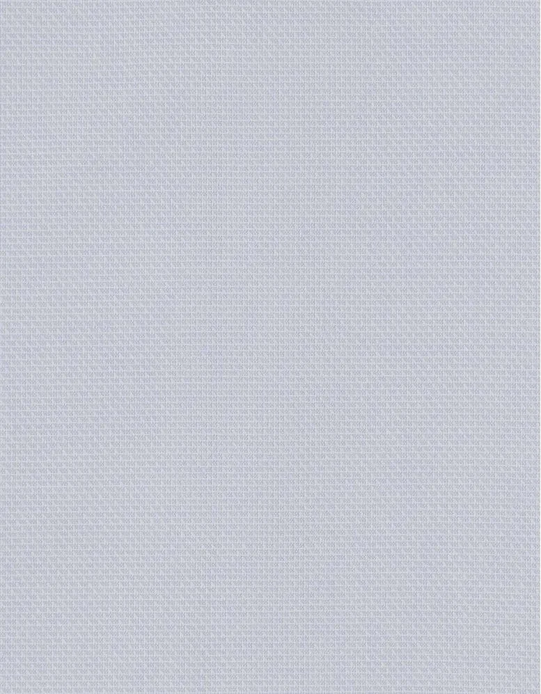 Image 43.jpeg