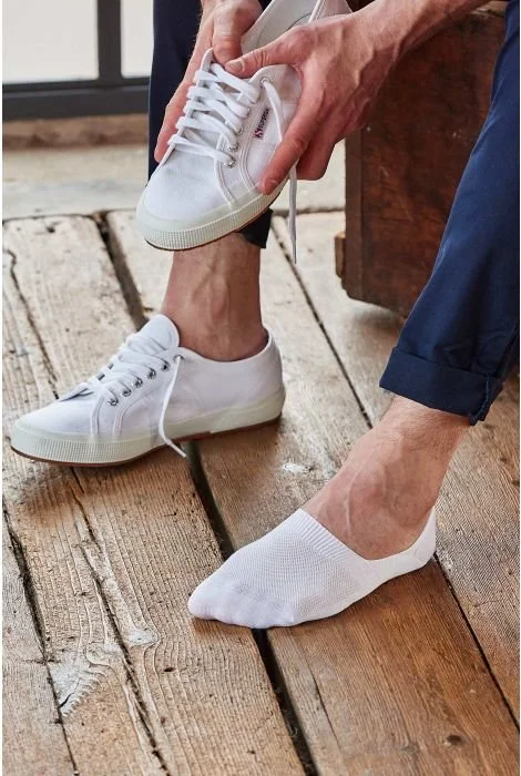 white1.jpg