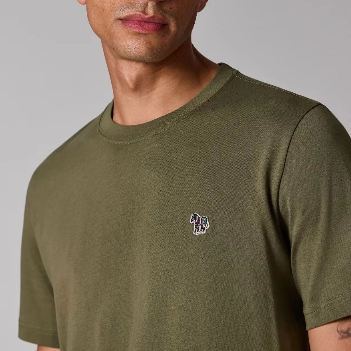 khaki_zebra3.jpg