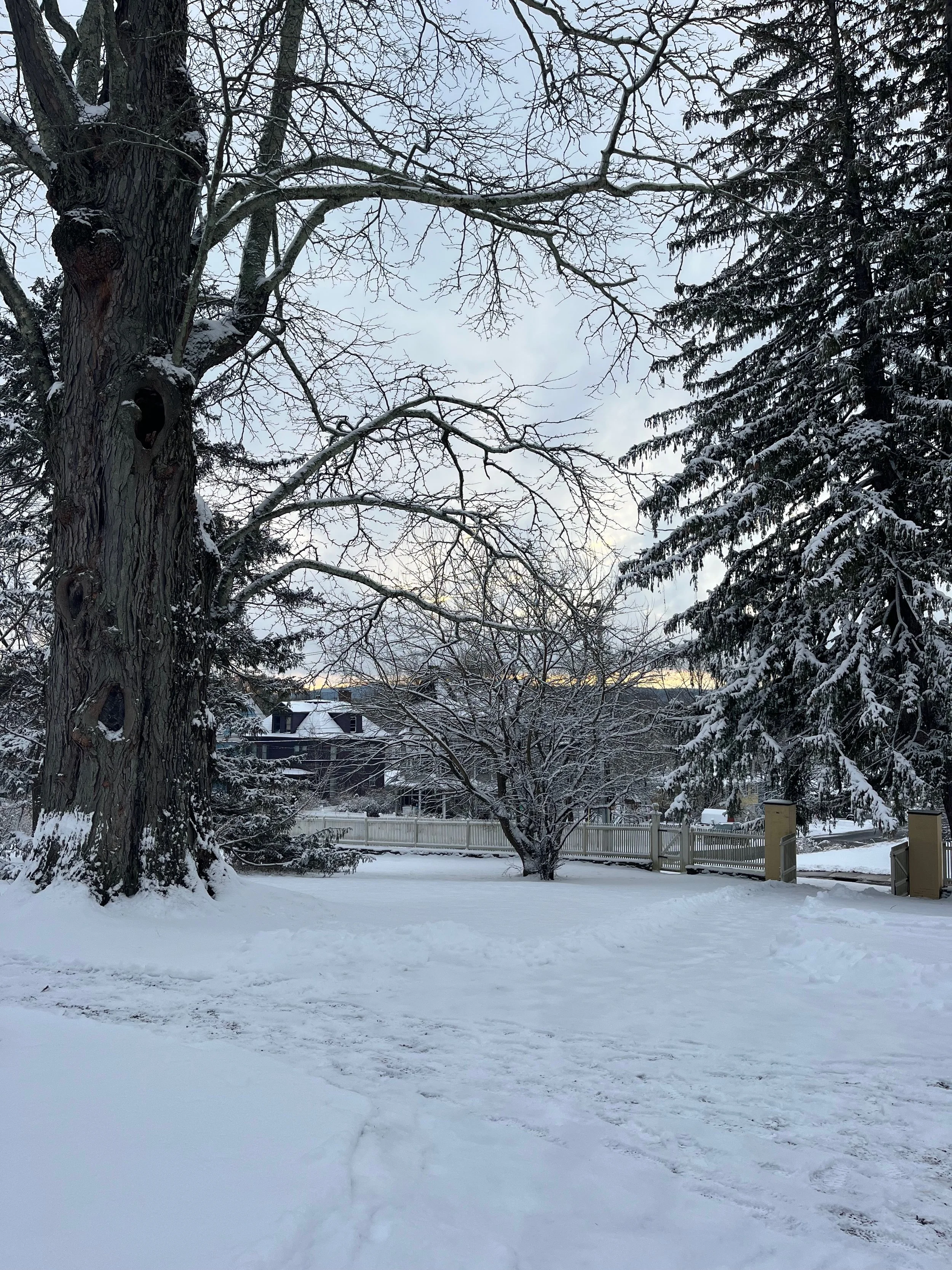 December &amp; January 2025-26