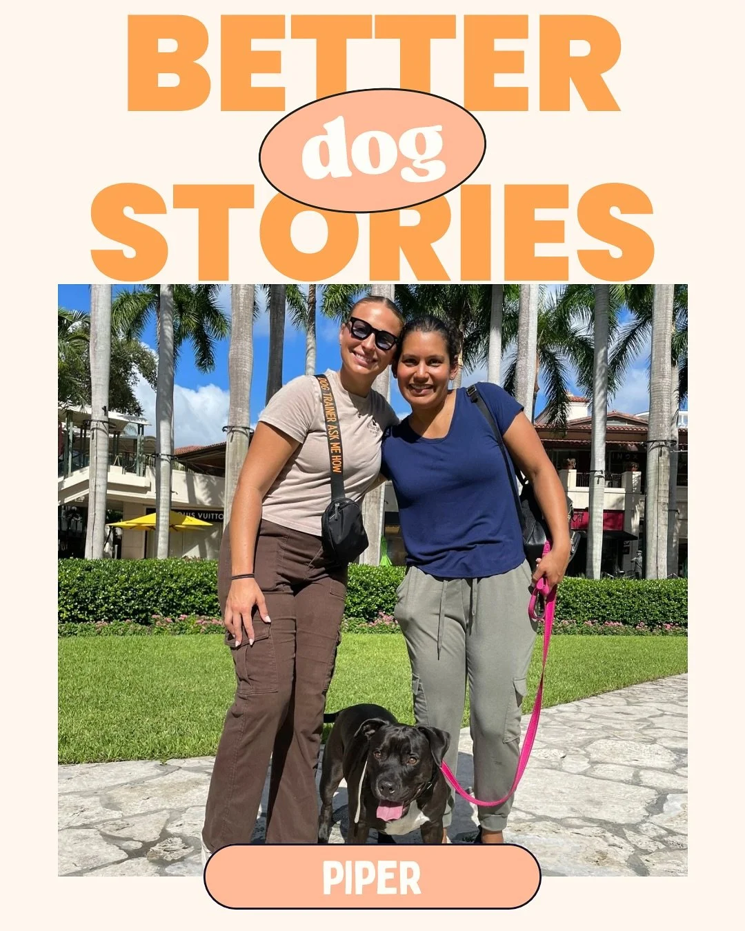 When I first met Piper, her owner was stressed and insecure talking walks around the neighborhood. piper would react to other dogs, and her owner felt frustrated and unsure what to do next.

After just a few sessions, Piper learned how to stay calm a