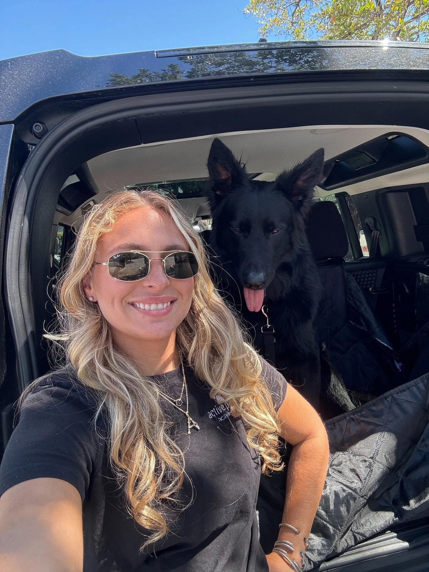 2025 we changed so many packs for the better and I can&rsquo;t wait to keep helping owners and their pups achieve more goals in 2026🤍🐾✨