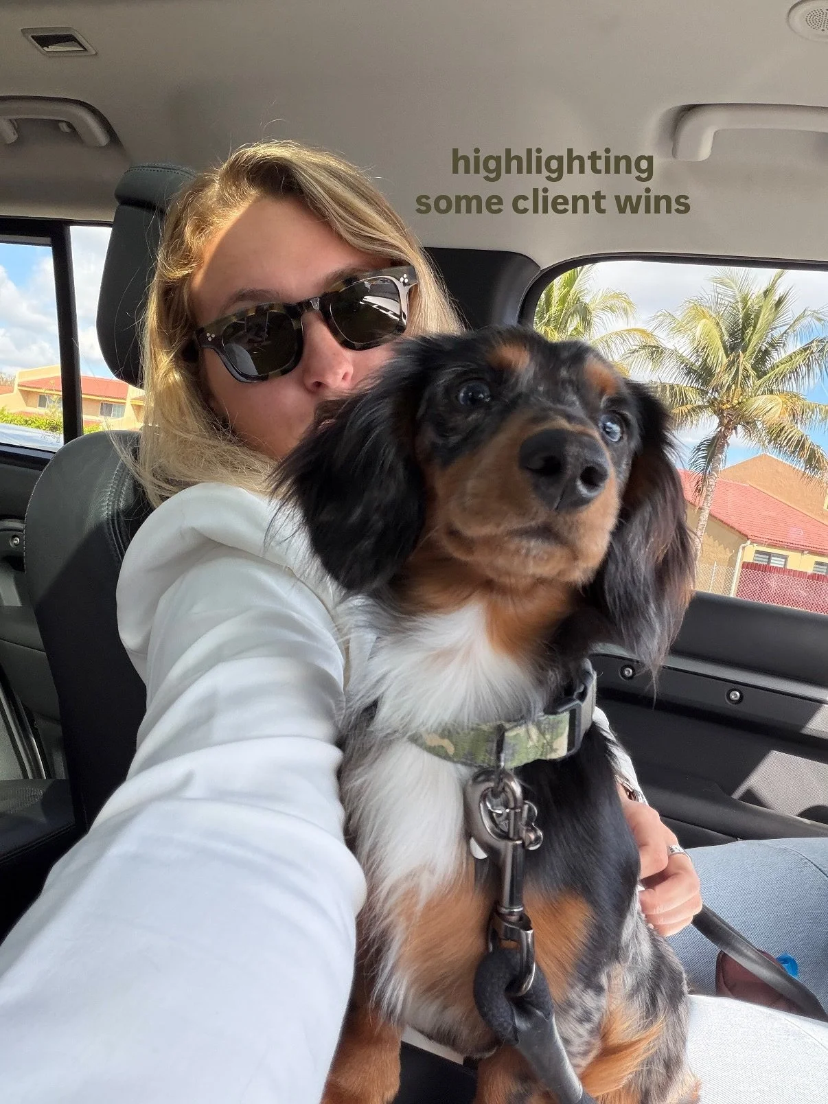 swipe to see my clients crushing it ➡️ 

&hellip; and if you want results like this, click the link in the bio for your dog to join the better dog family 🐾