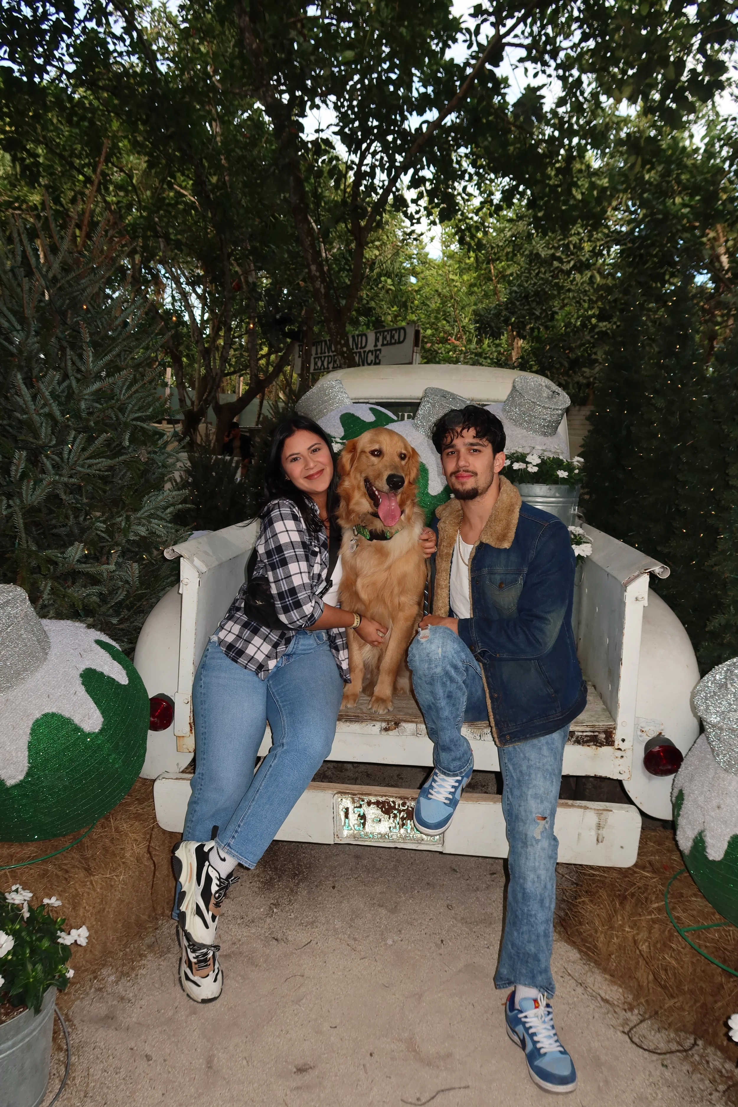 A smiling woman and man sitting beside a Golden Retriever dog on a vintage white vehicle decorated with large Christmas ornaments, surrounded by trees and holiday decorations.