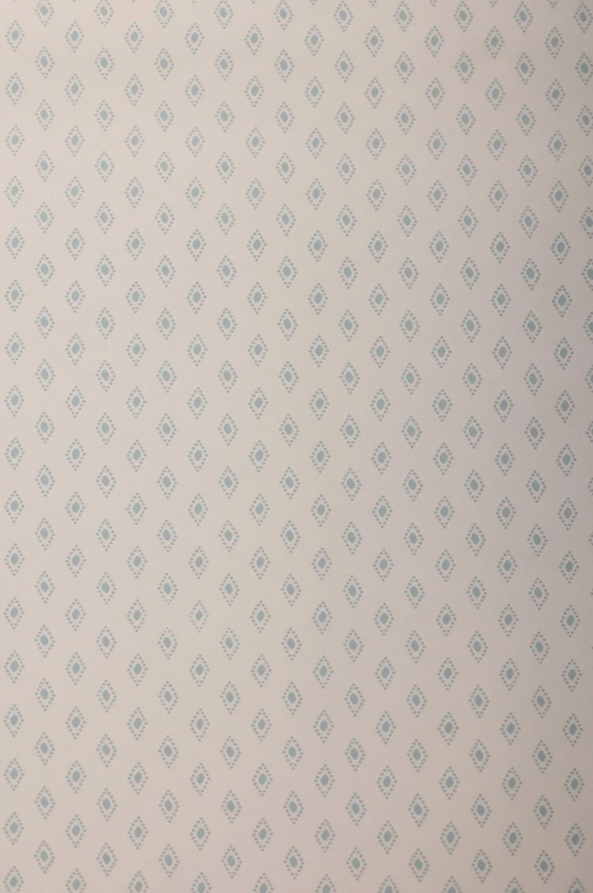 Untitled design-22 2.jpg
