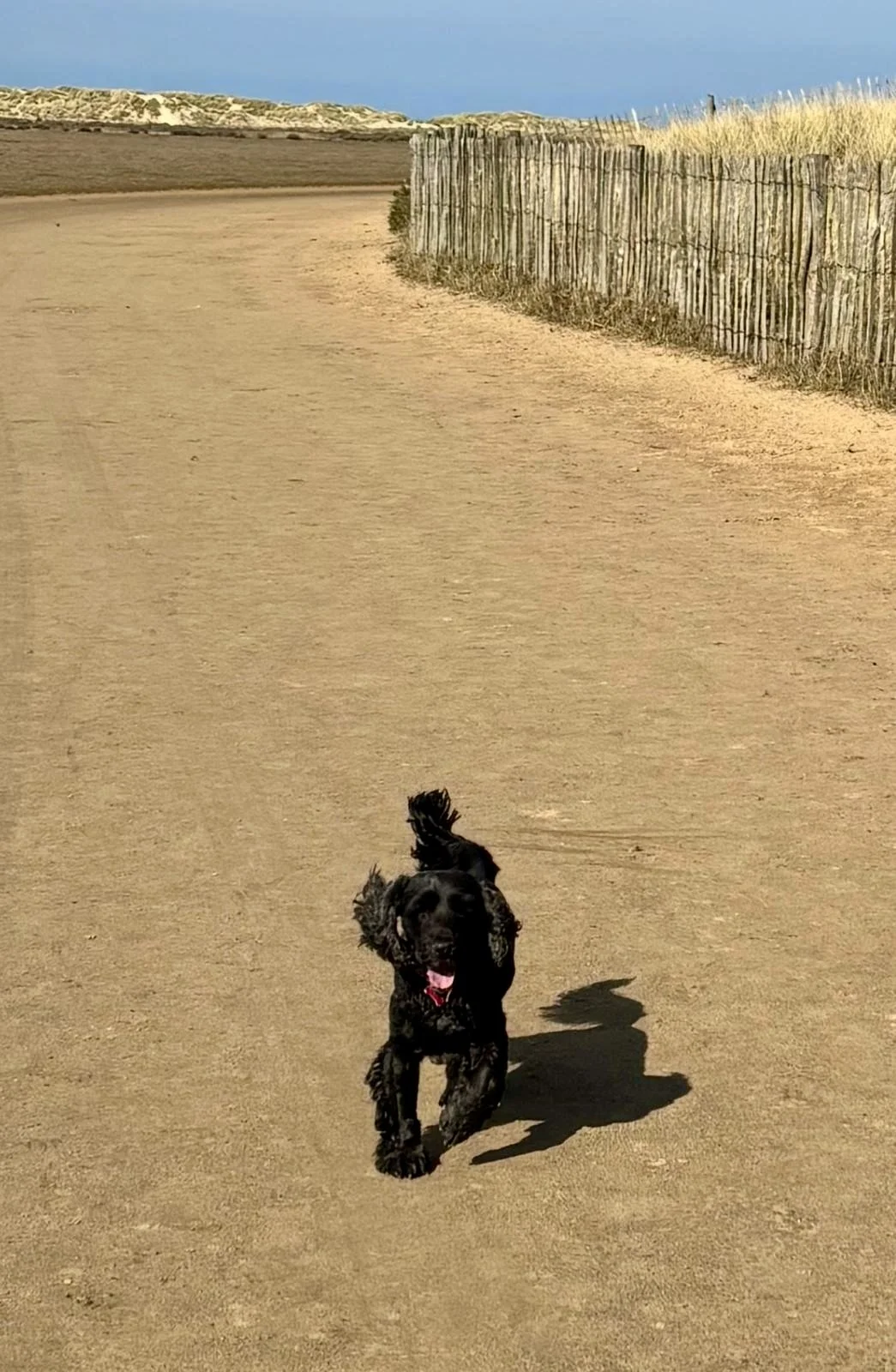 PHOTO-2025-09-08-22-47-16 2.jpg