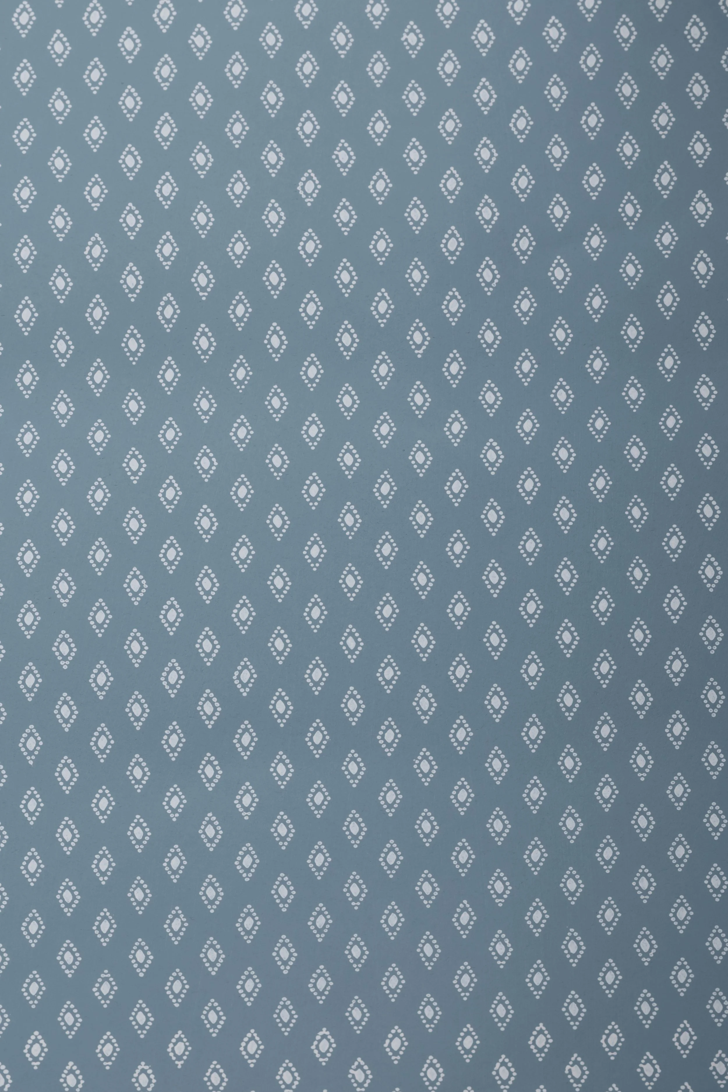 blue_1.3.1 2.jpg