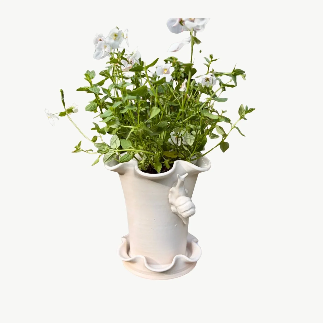jess ellis snail plant pot cut out.jpg