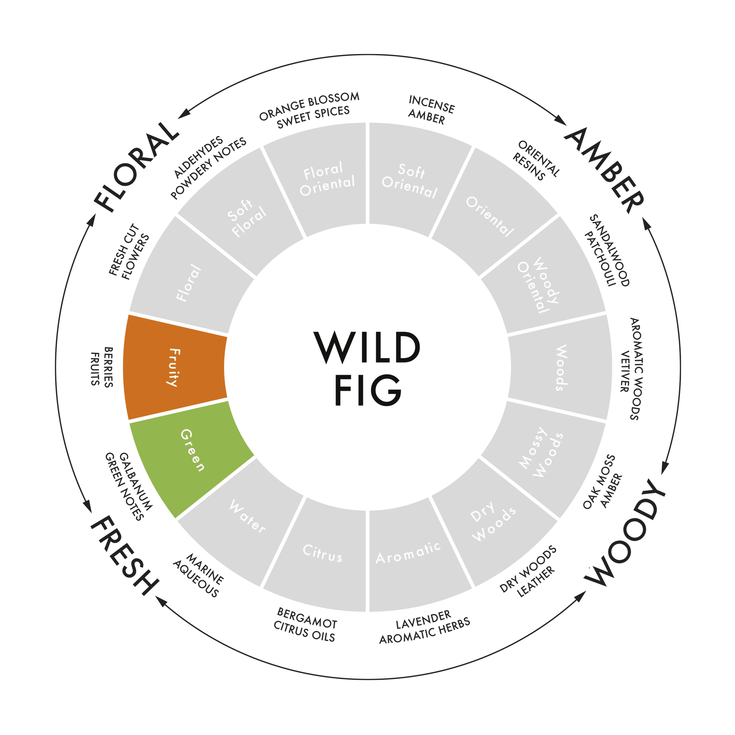 Scent_Profile_Wild_Fig_2_cc2510c0-21c8-49a1-a4e3-dfb5b344ce30.png.webp