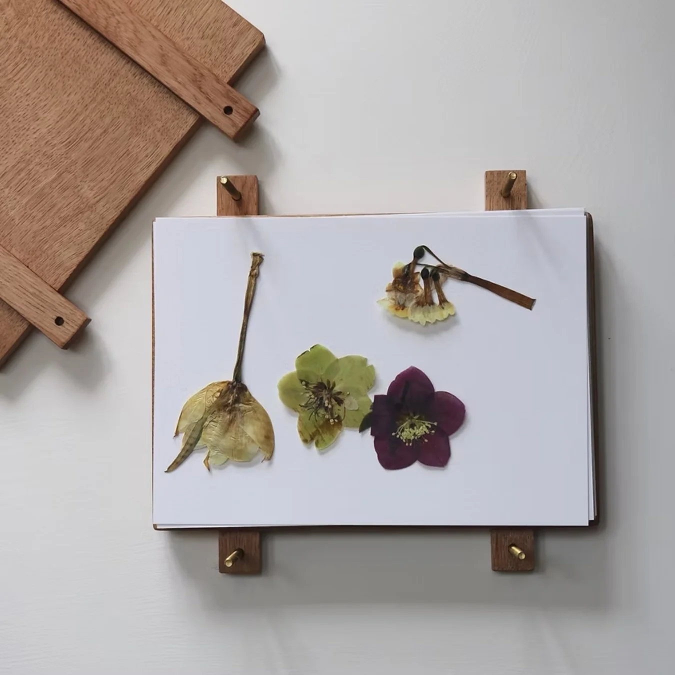 FLAVELL TRADING FLOWER PRESS 6.jpg