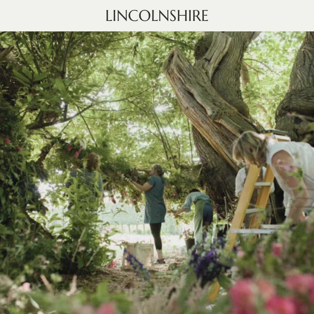 Doddington Hall Catkin Flowers Nature Gathering course