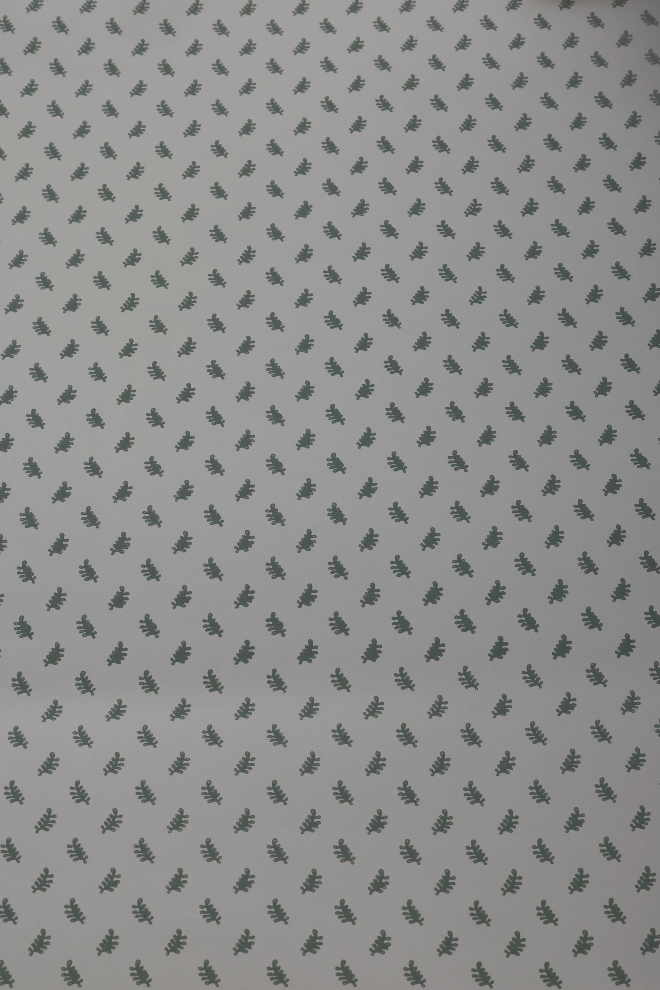 MALTON LEAF | BRUCE FINE PAPERS x NOTSWOLDS