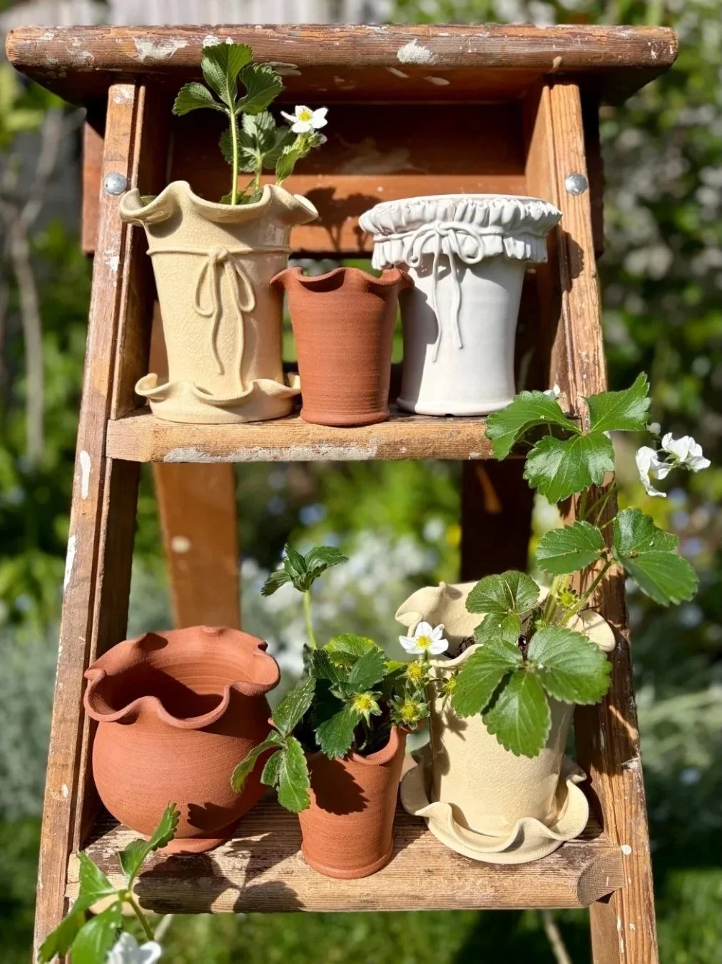 Jess+ellis+ruffle+plant+pots.jpg